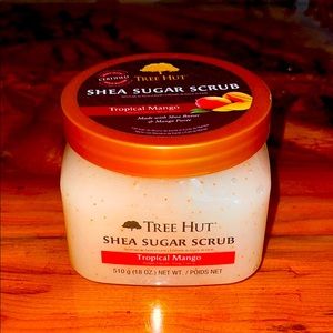 Tropical Mango Tree Hut Scrub